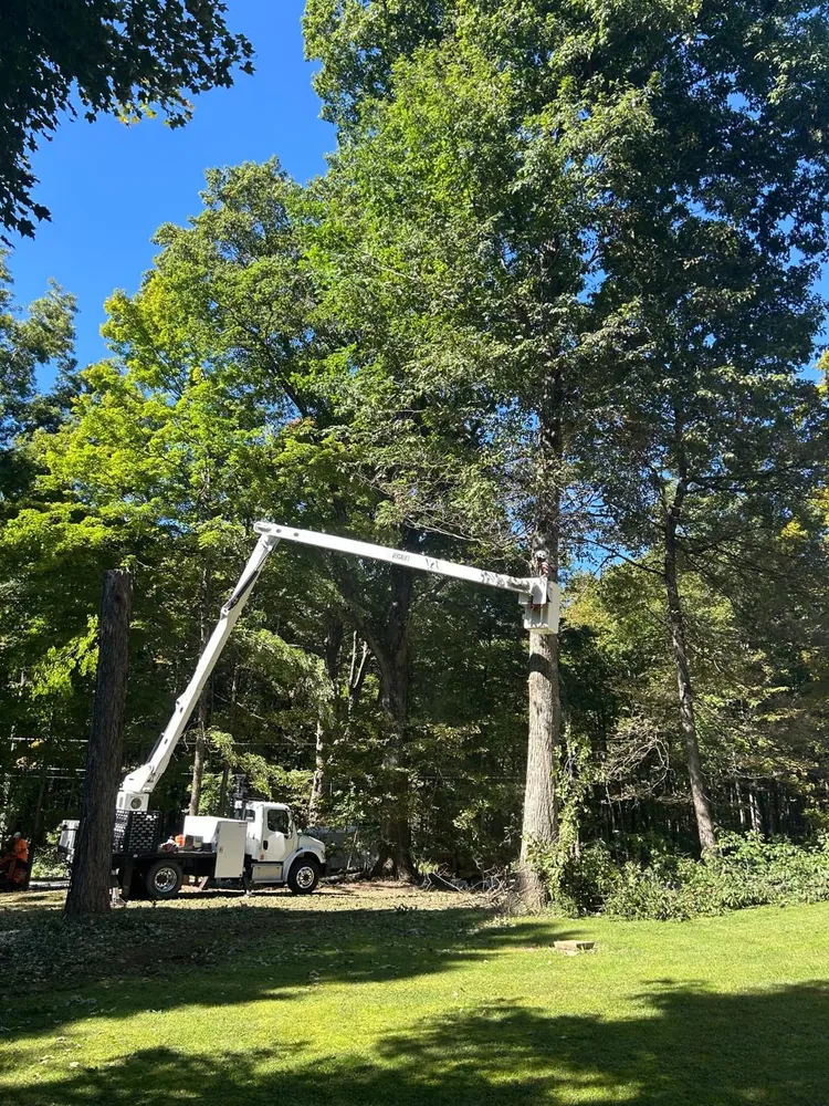 Select Tree Service at work, serving Knox County