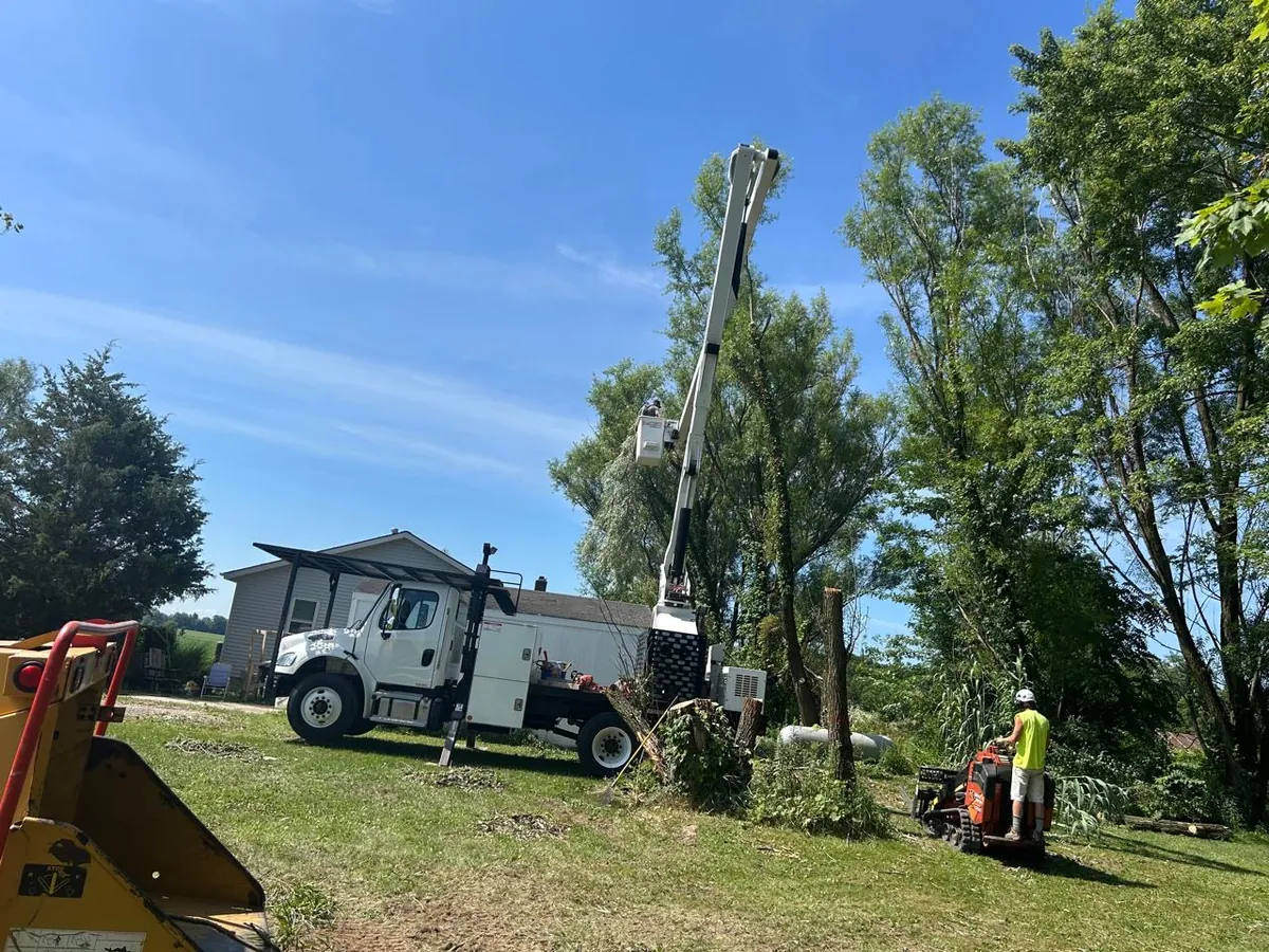 Select Tree Service at work, serving Delaware