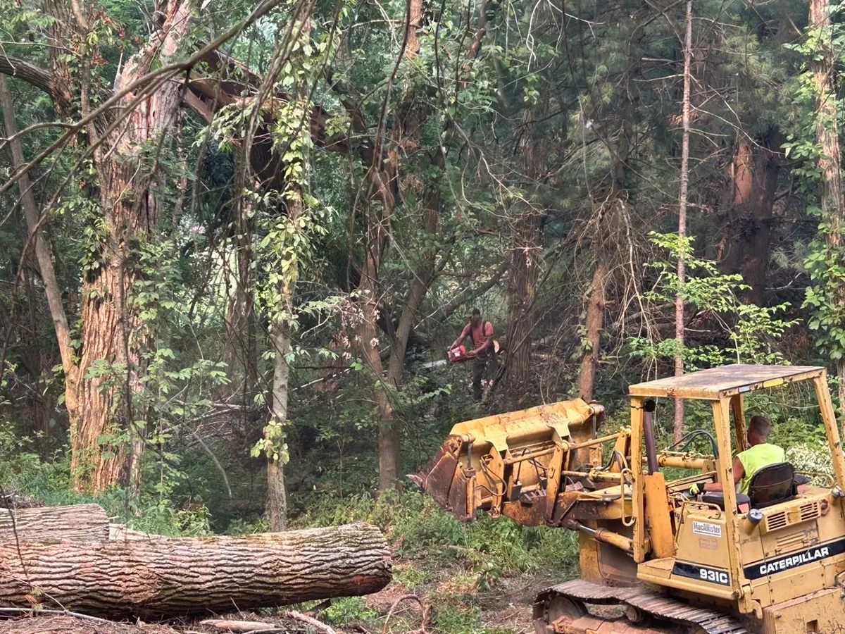 Select Tree Service dozer doing excavation work