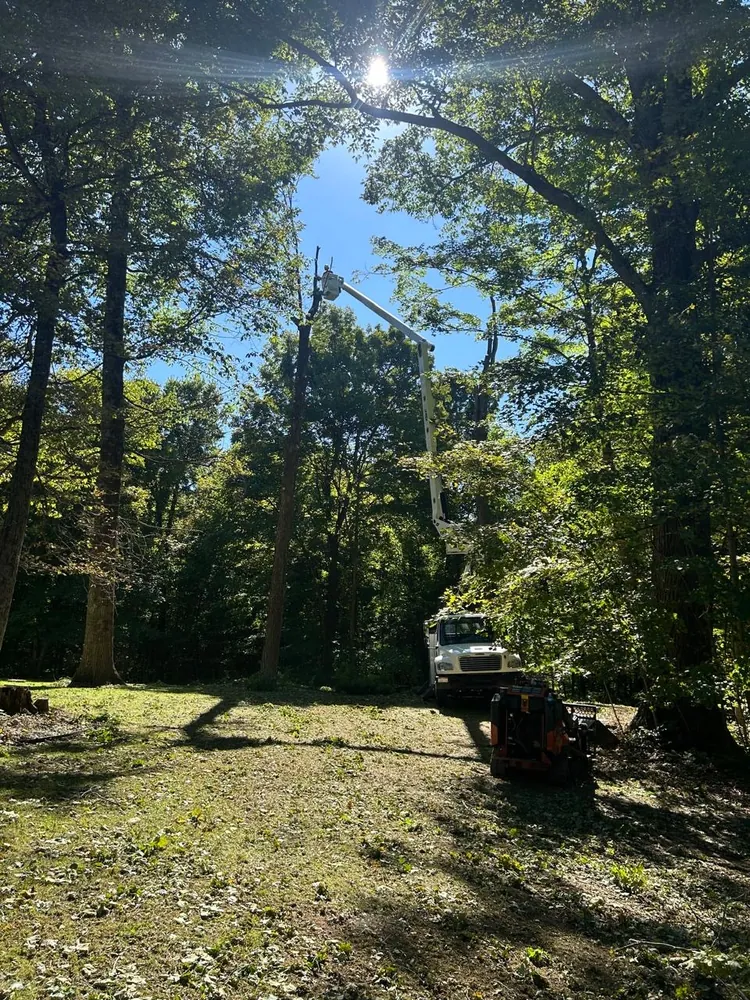 Select Tree Service at work, serving Morrow County