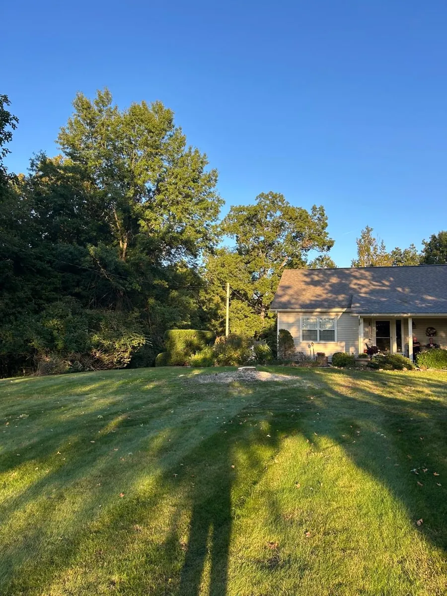 Yard after a large tree was removed by Select Tree Service