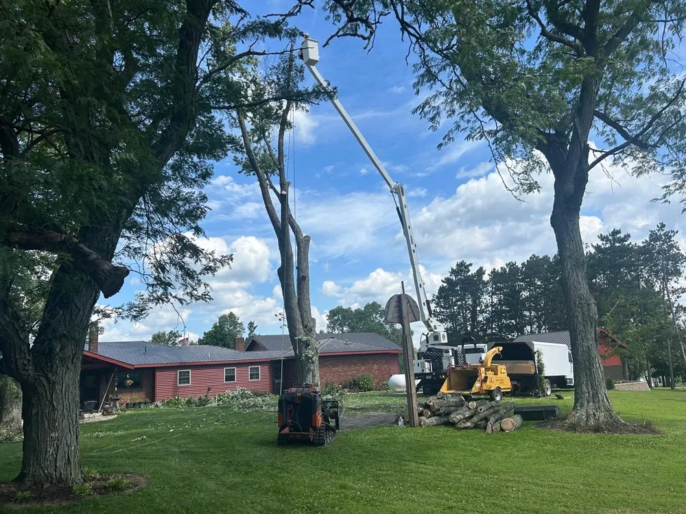 Select Tree Service at work, serving Delaware County