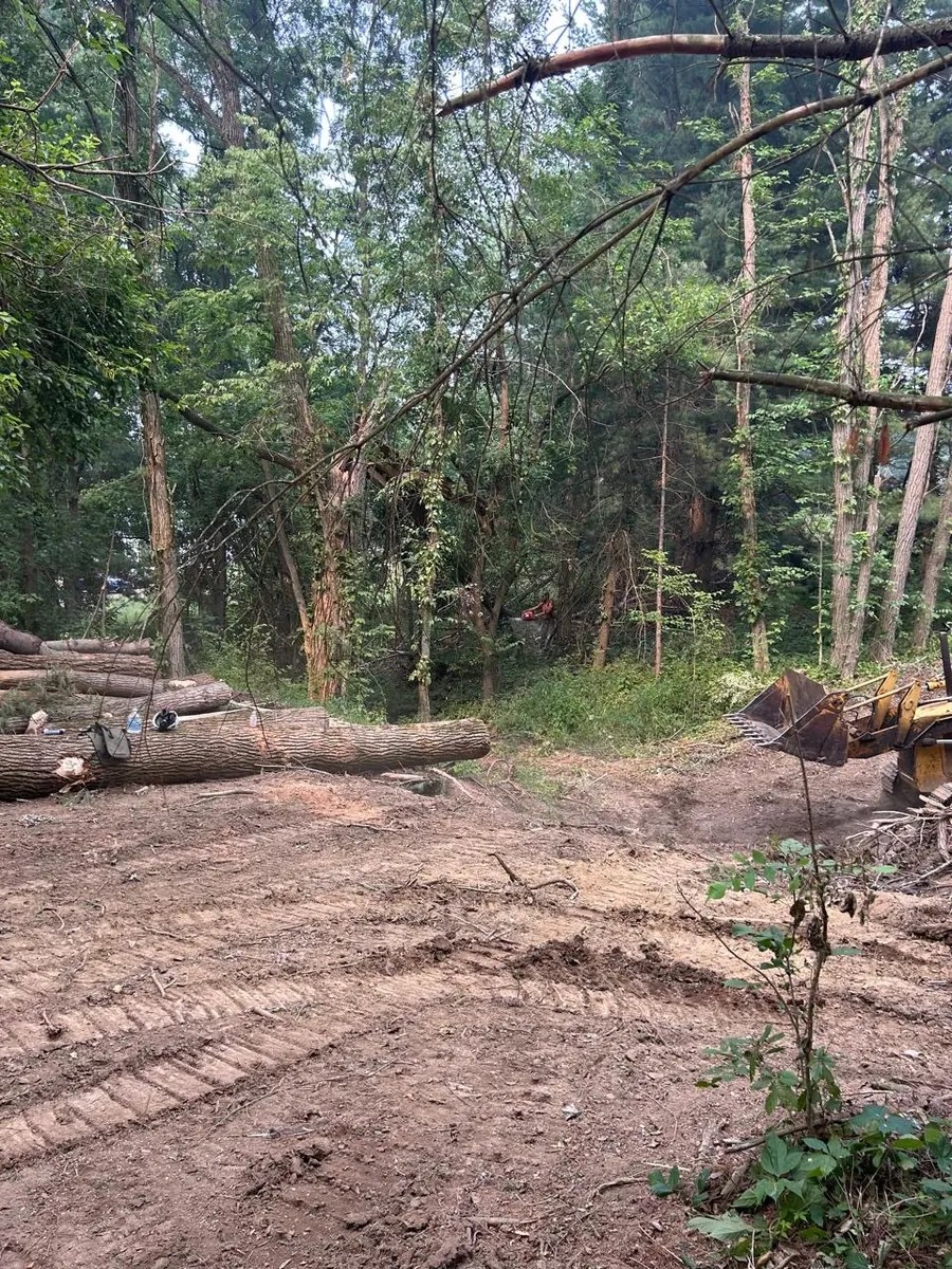 Land And Lot Clearing