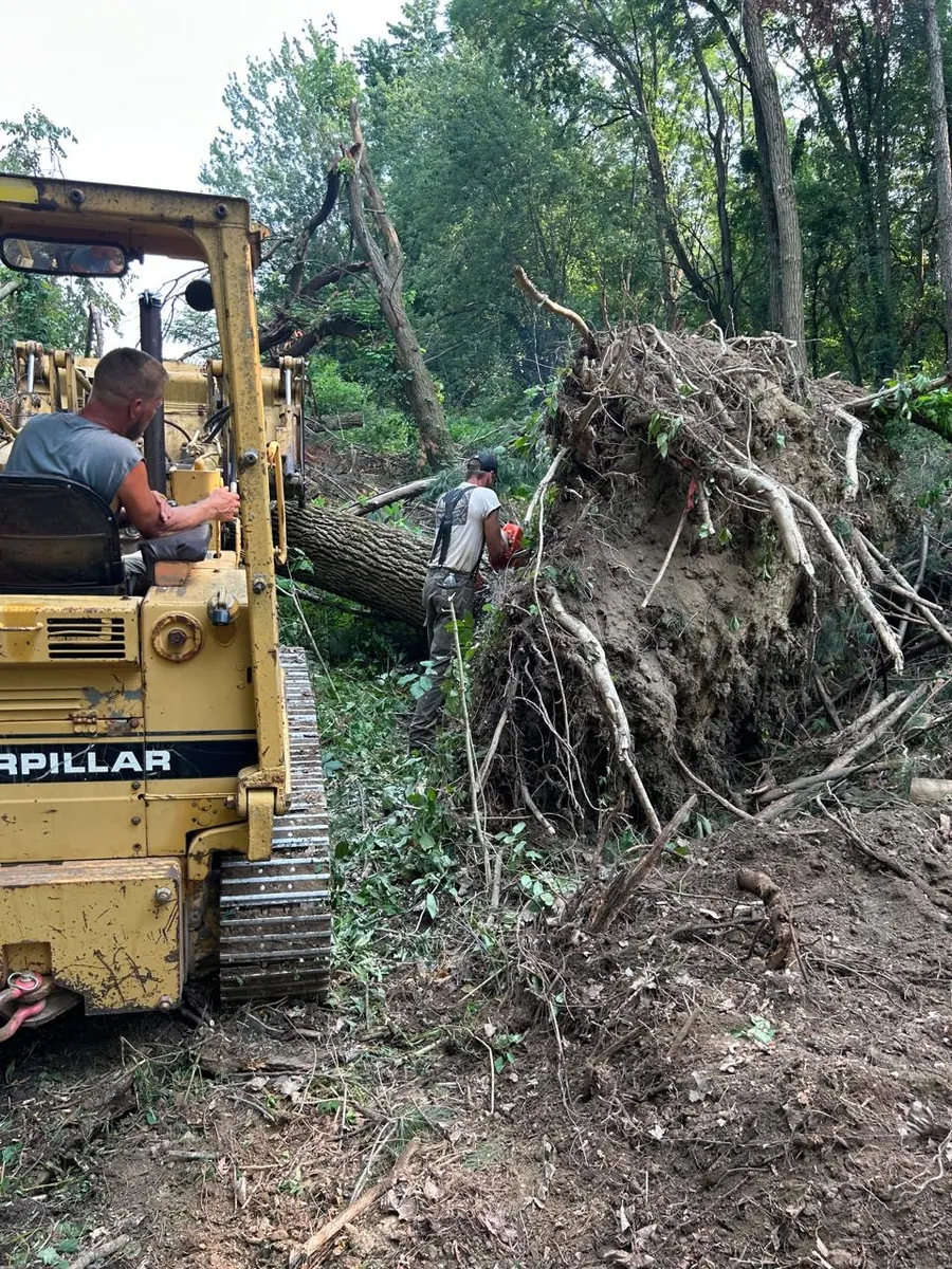 Emergency Tree Service