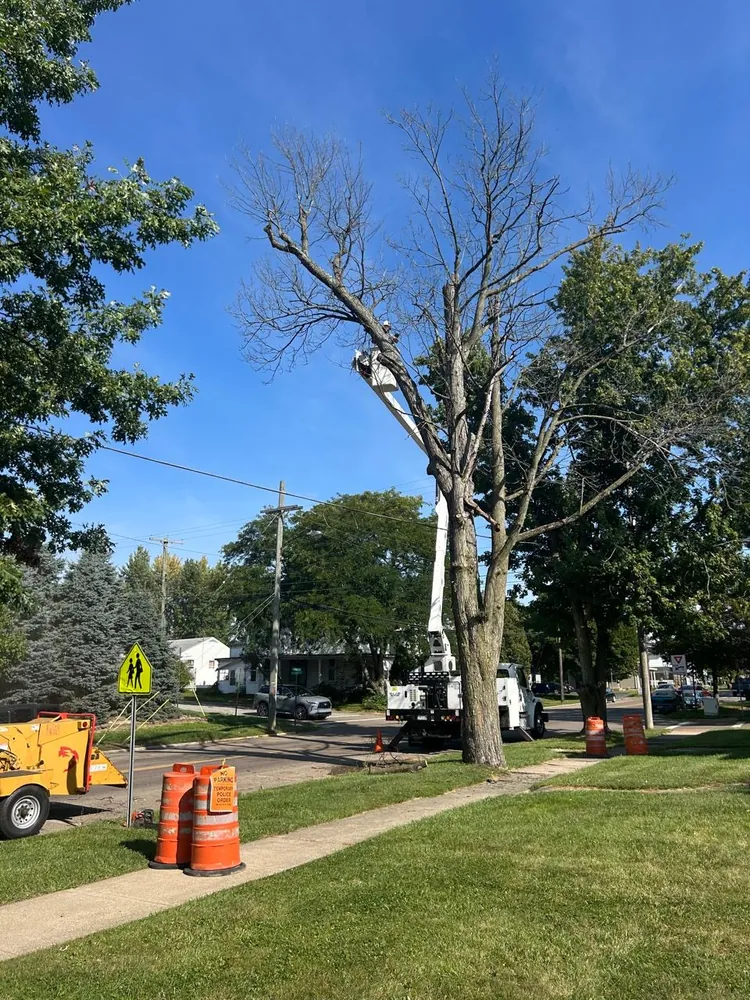 Select Tree Service at work, serving Franklin County
