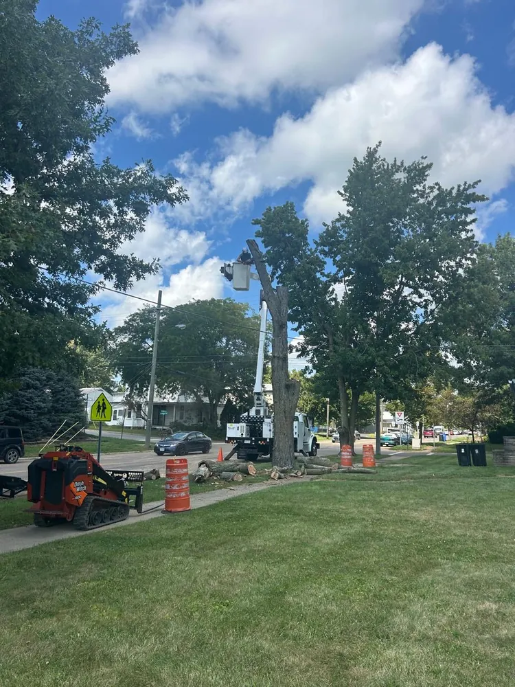 Select Tree Service at work, serving Columbus