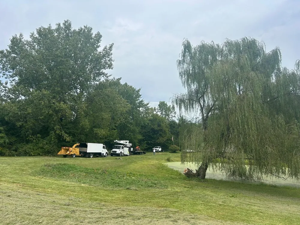 Select Tree Service at work, serving Cardington