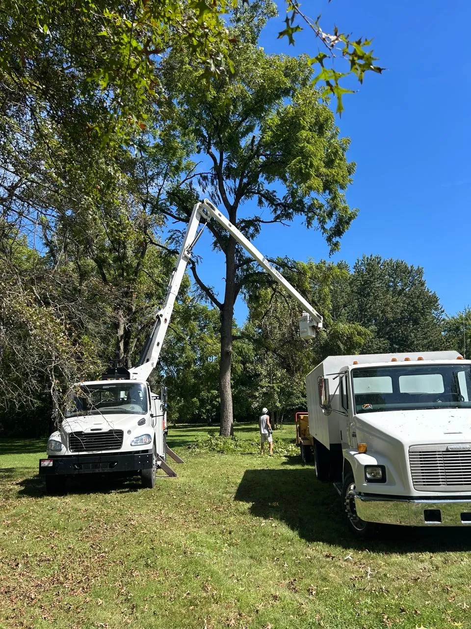 Select Tree Service project in Marengo